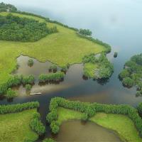 Vue aérienne du parc de Loango